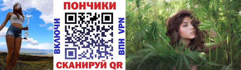 ссылка на мегу как зайти  Шимановск  Шишки марихуана ГИДРОПОН 